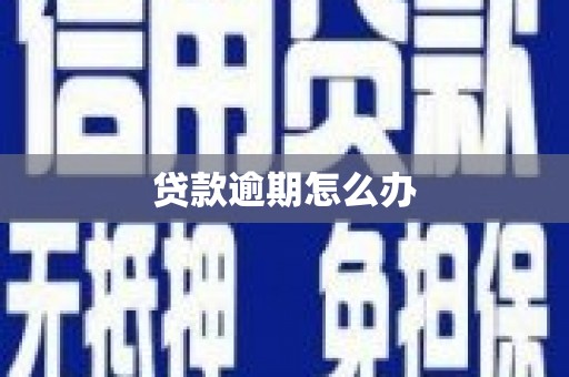 云龙贷款逾期怎么办