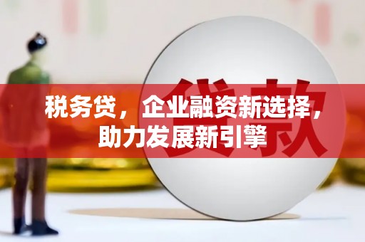 大武税务贷，企业融资新选择，助力发展新引擎