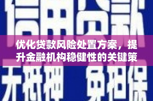 琼结优化贷款风险处置方案，提升金融机构稳健性的关键策略